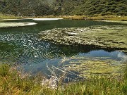 Anello Laghi di Porcile-Passo di Tartano, Cima-Passo di Lemma da Baita del Camoscio (13 sett. 2021)- FOTOGALLERY